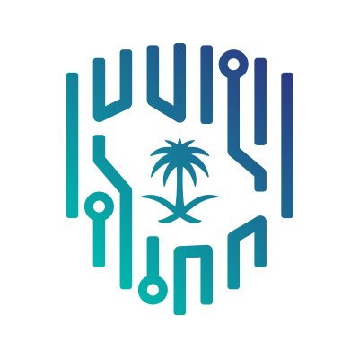 الهيئة الوطنية للأمن السيبراني